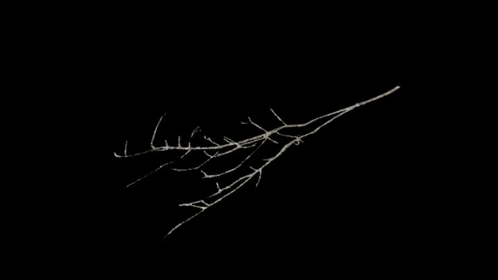 UE项目资源_模型资源_枯枝024