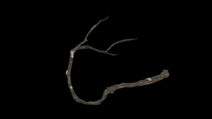 UE项目资源_模型资源_枯枝029