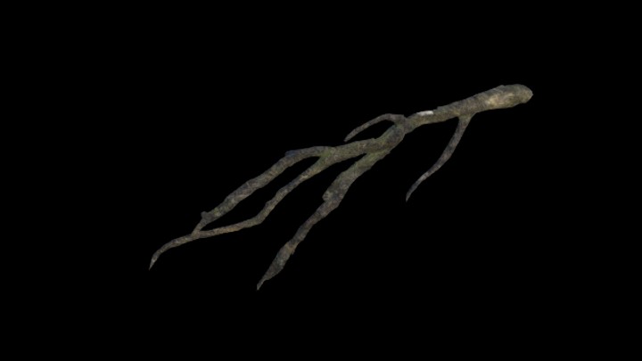 UE项目资源_模型资源_枯枝030