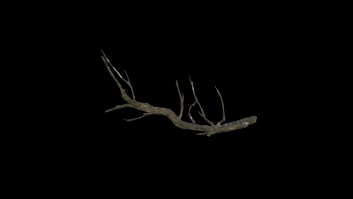 UE项目资源_模型资源_枯枝032