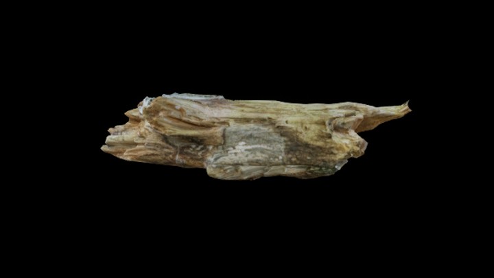 UE项目资源_模型资源_枯树049