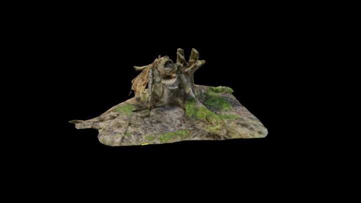 UE项目资源_模型资源_枯树063