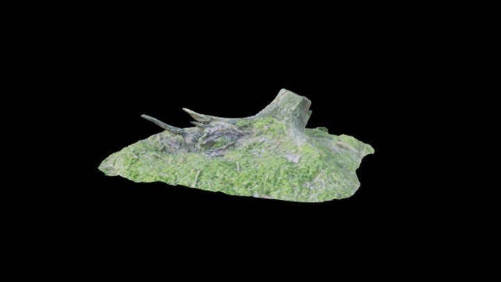 UE项目资源_模型资源_枯树066