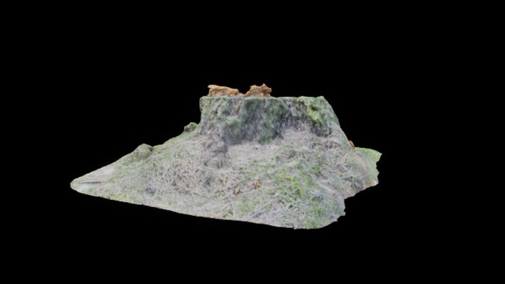 UE项目资源_模型资源_枯树067