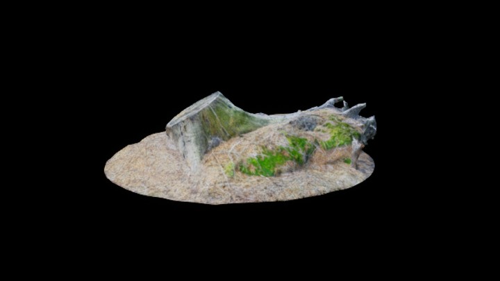 UE项目资源_模型资源_枯树073