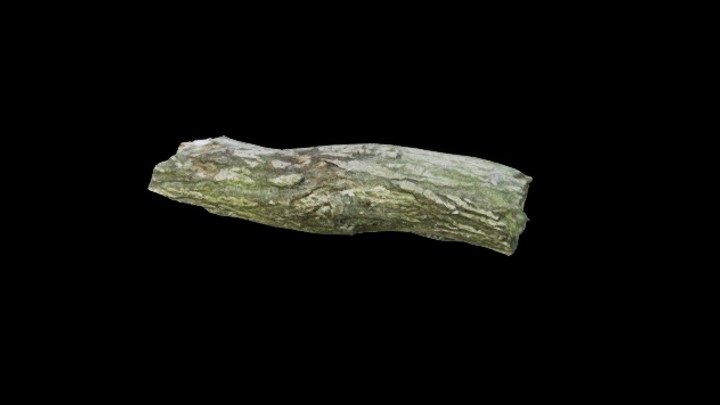 UE项目资源_模型资源_枯树092