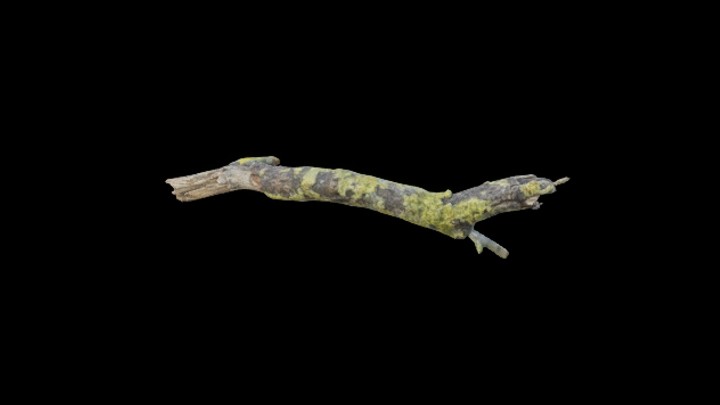 UE项目资源_模型资源_枯树094