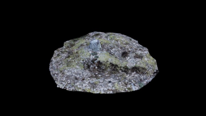 UE项目资源_模型资源_枯树堆006