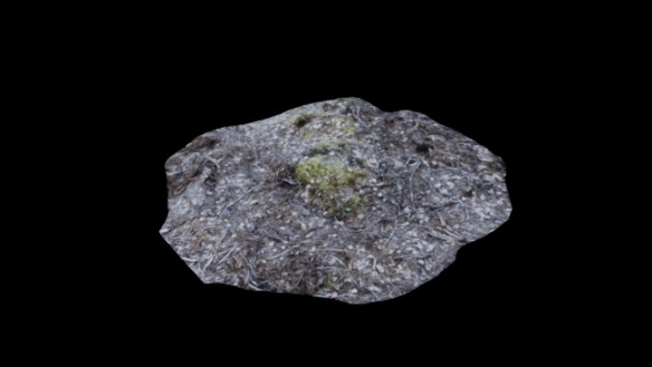 UE项目资源_模型资源_枯树堆007