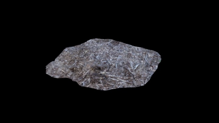 UE项目资源_模型资源_枯树堆008