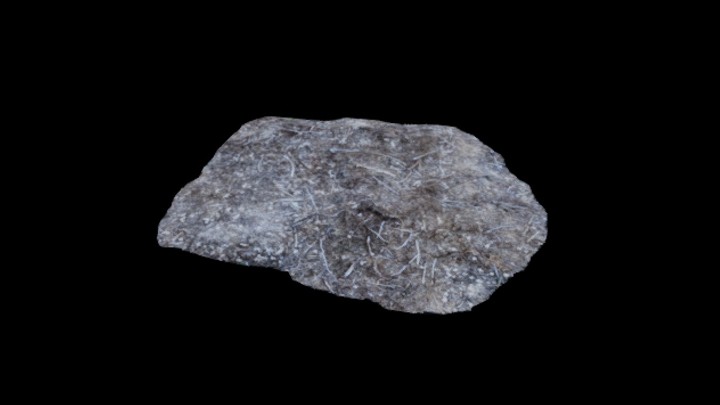 UE项目资源_模型资源_枯树堆010