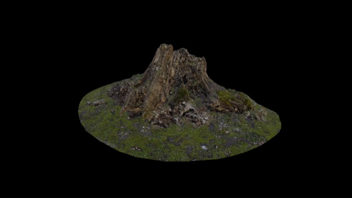 UE项目资源_模型资源_枯树枝032