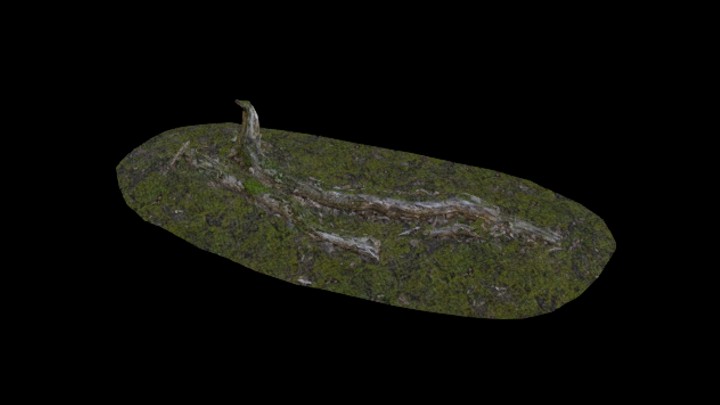 UE项目资源_模型资源_枯树枝034