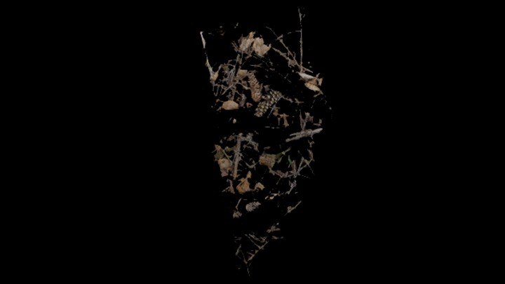 UE项目资源_模型资源_枯树枝039