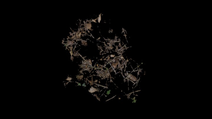 UE项目资源_模型资源_枯树枝046