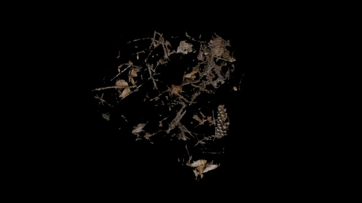 UE项目资源_模型资源_枯树枝047