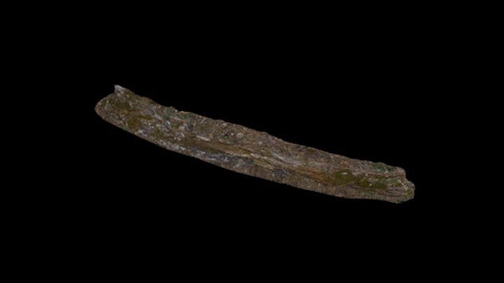 UE项目资源_模型资源_枯树枝053