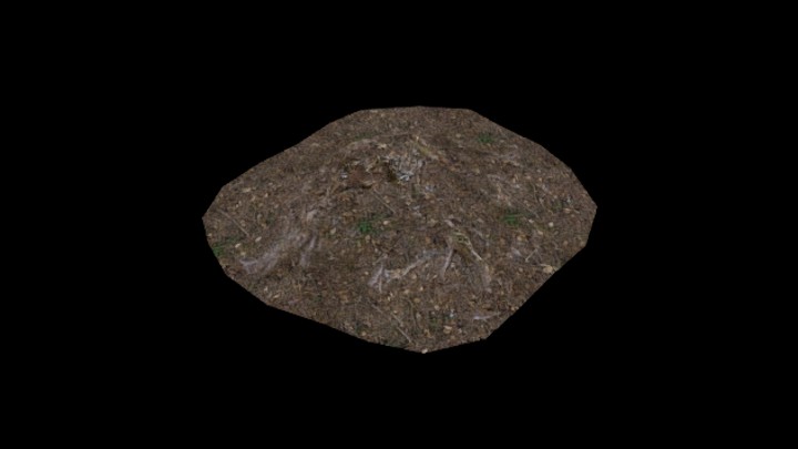 UE项目资源_模型资源_枯树枝055