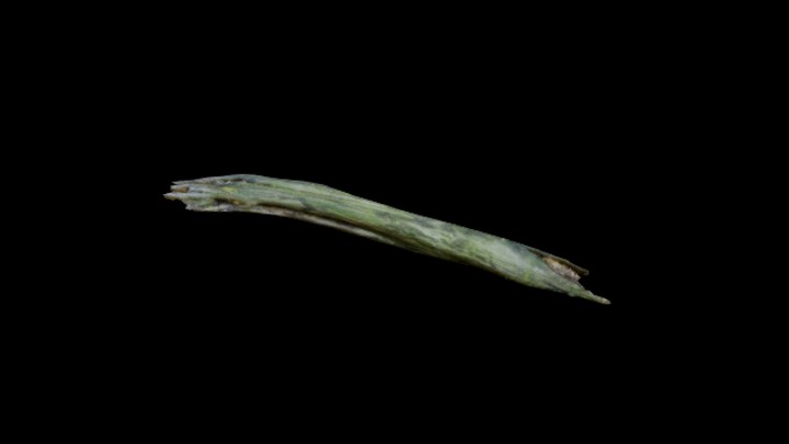 UE项目资源_模型资源_枯树枝059