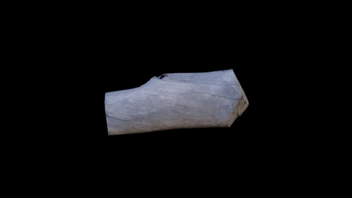 UE项目资源_模型资源_枯树枝065