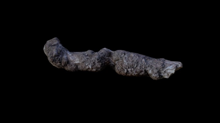 UE项目资源_模型资源_枯树枝074