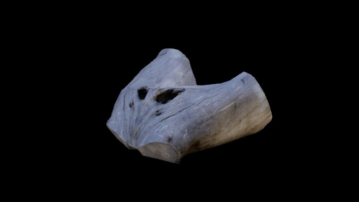 UE项目资源_模型资源_枯树枝079