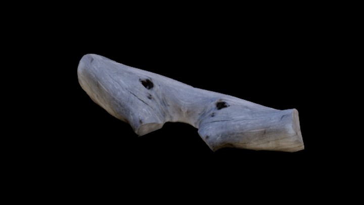 UE项目资源_模型资源_枯树枝080