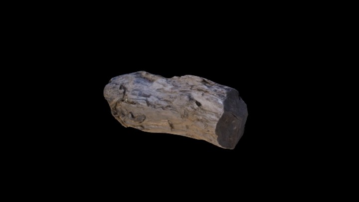 UE项目资源_模型资源_枯树枝084