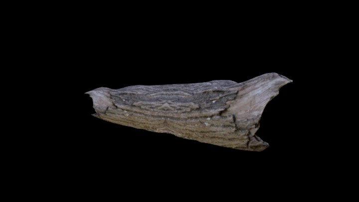 UE项目资源_模型资源_枯树枝086