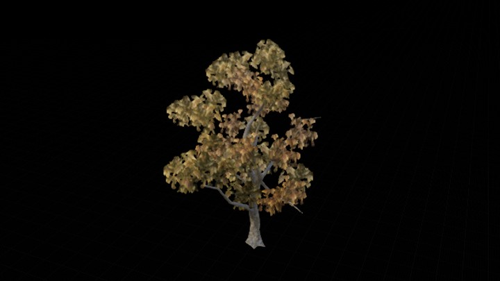 UE项目资源_模型资源_树1022