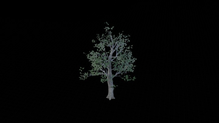 UE项目资源_模型资源_树1026