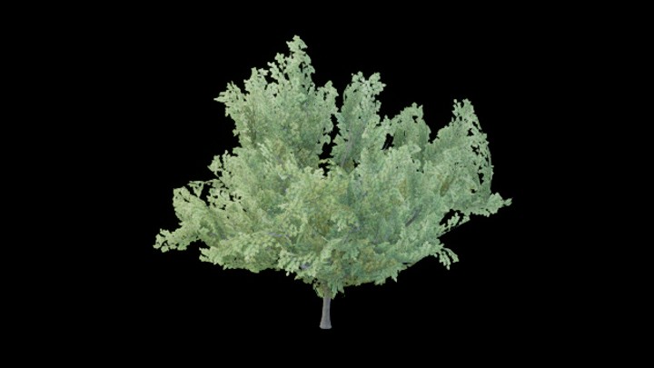 UE项目资源_模型资源_树1049