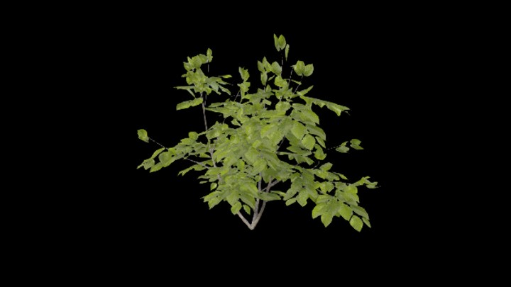 UE项目资源_模型资源_树1081