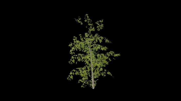 UE项目资源_模型资源_树1082