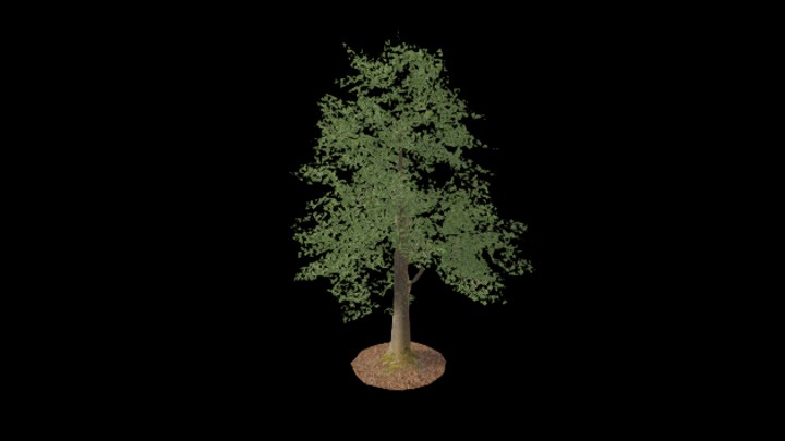 UE项目资源_模型资源_树1087