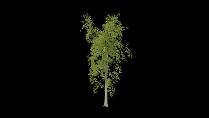 UE项目资源_模型资源_树1096