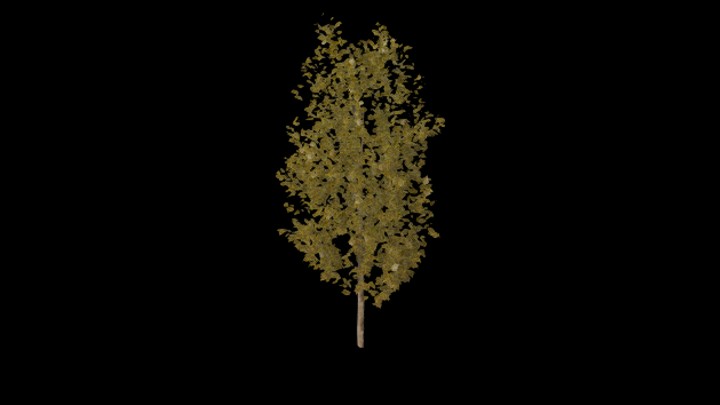 UE项目资源_模型资源_树1097