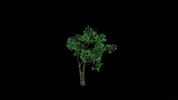 UE项目资源_模型资源_树1136