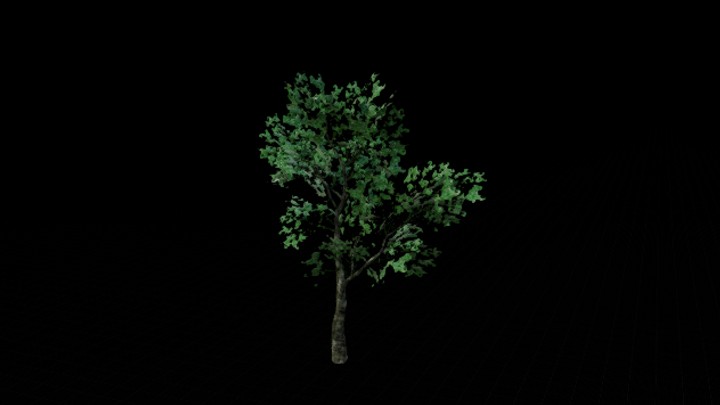 UE项目资源_模型资源_树1138