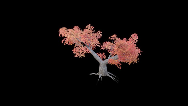 UE项目资源_模型资源_树1155