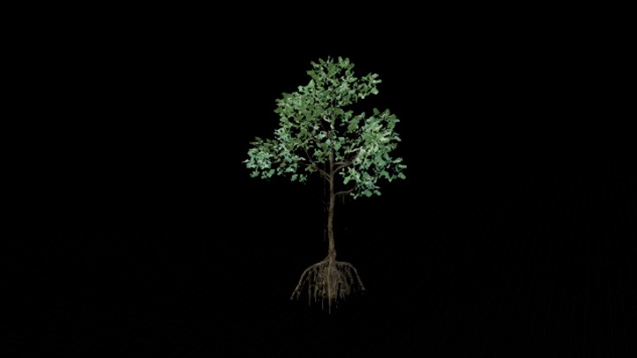 UE项目资源_模型资源_树1178