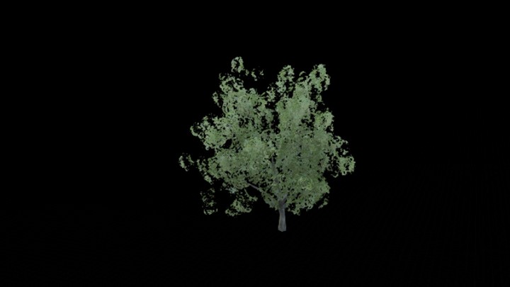 UE项目资源_模型资源_树1184