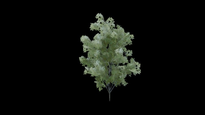 UE项目资源_模型资源_树1193