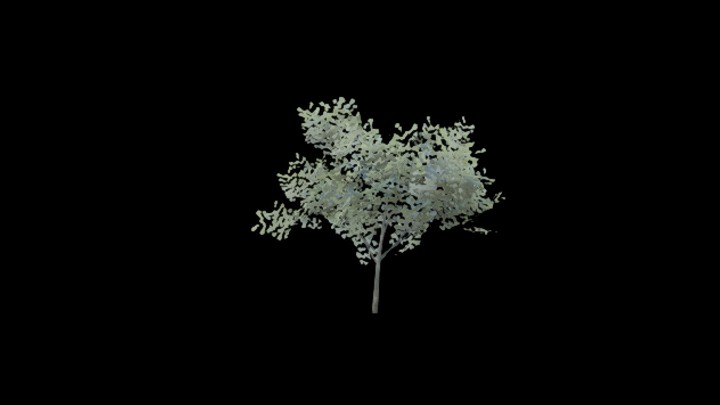 UE项目资源_模型资源_树1198