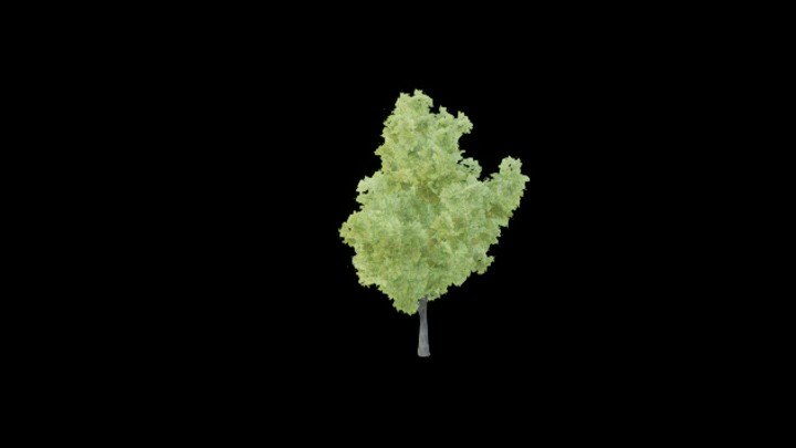 UE项目资源_模型资源_树1202