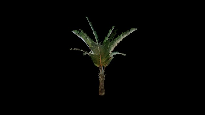 UE项目资源_模型资源_树1261