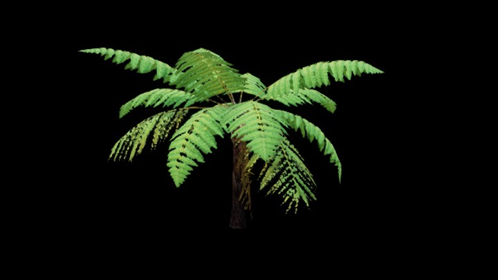 UE项目资源_模型资源_树1267