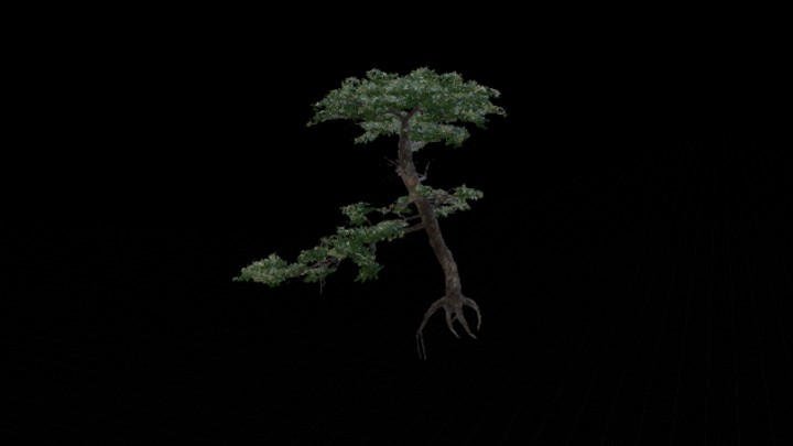 UE项目资源_模型资源_树1290