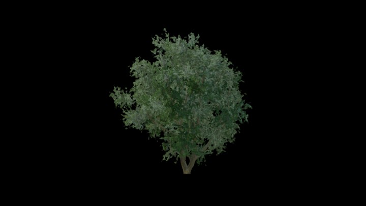 UE项目资源_模型资源_树1298