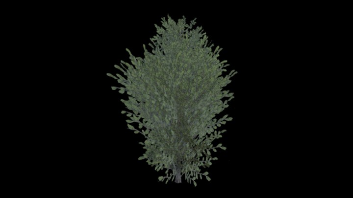 UE项目资源_模型资源_树1314